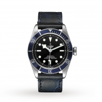 Tudor Black Bay