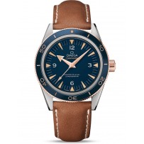 AAA Repliche Omega Seamaster 300 Master Co-Axial 41mm Orologio da uomo 233.62.41.21.03.001