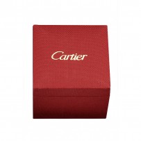 Cassa dell'orologio di Cartier