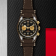 Swiss Tudor Black Bay Chrono S&G
